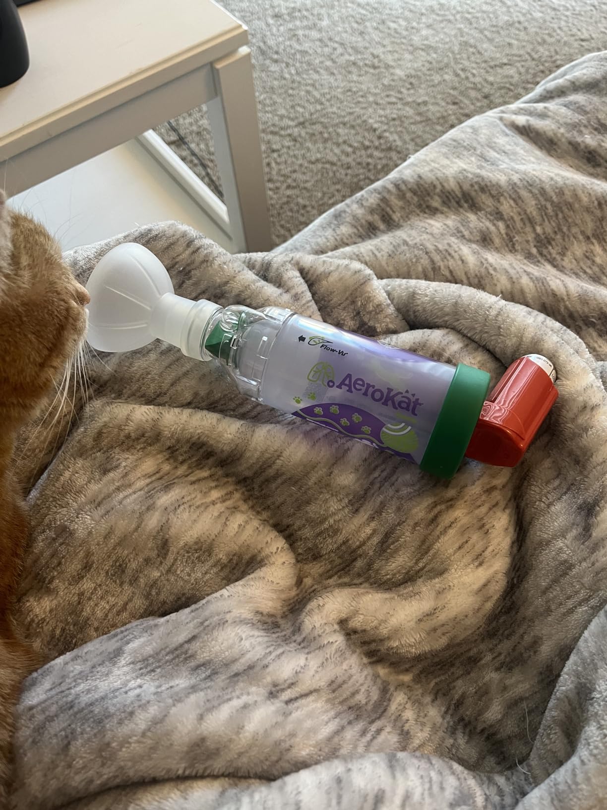 Aerokat The Original Feline Aerosol Chamber Inhaler Spacer for Cats and Kittens with Exclusive Flow-Vu Indicator customer photo 2