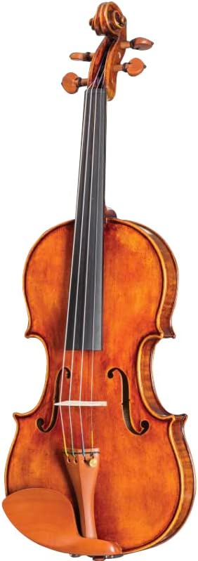 Violin - Model 500 - Light Antique Finish with Dominant Strings, Case, Bow and Rosin (Full Size - 4/4) customer photo 1
