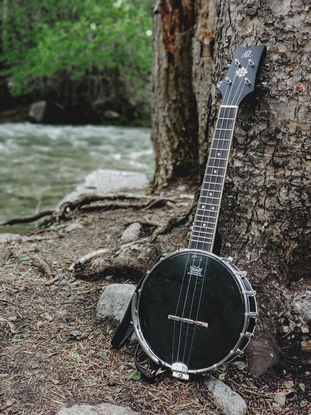 Banjolele Series Banjo-Ukulele w/Bag customer photo 1