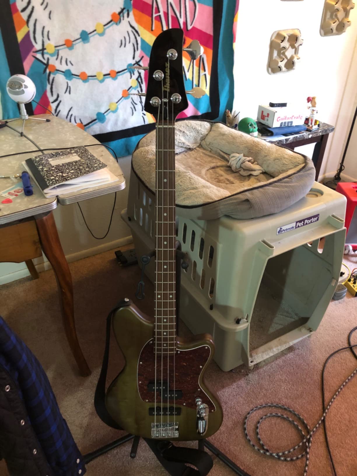 Ibanez TMB100 Talman Electric Bass Guitar - Mint Green customer photo 2