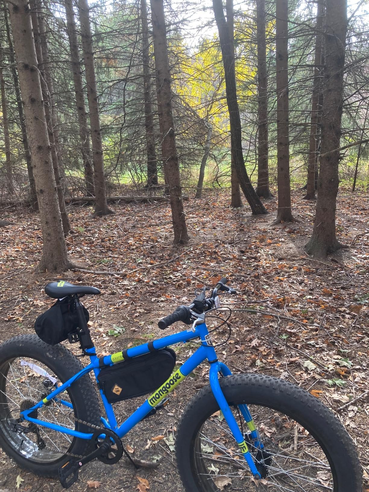 Mongoose Dolomite Fat Tire Mens Mountain Bike, 26-Inch Wheels, 7-Speed, Steel Frame, Knobby Tires customer photo 2