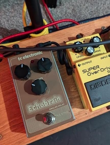 TC Electronic ECHOBRAIN Analog Delay Vintage-Style Delay Pedal with All-Analog Bucket-Brigade Circuit customer photo 1