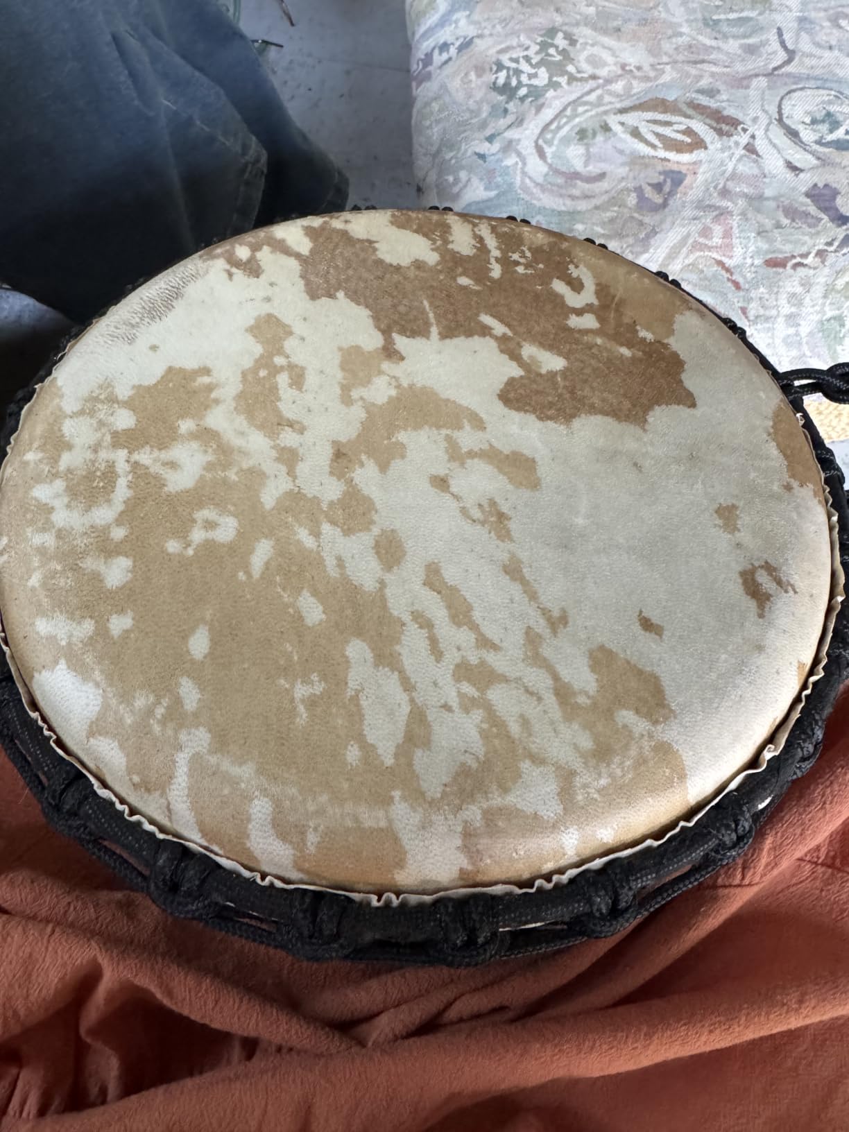 Terre Percussion Djembe Standard Line Carve Handmade Drum Circle Instrument, Carved Mahogany with Natural Goat Skin, 20