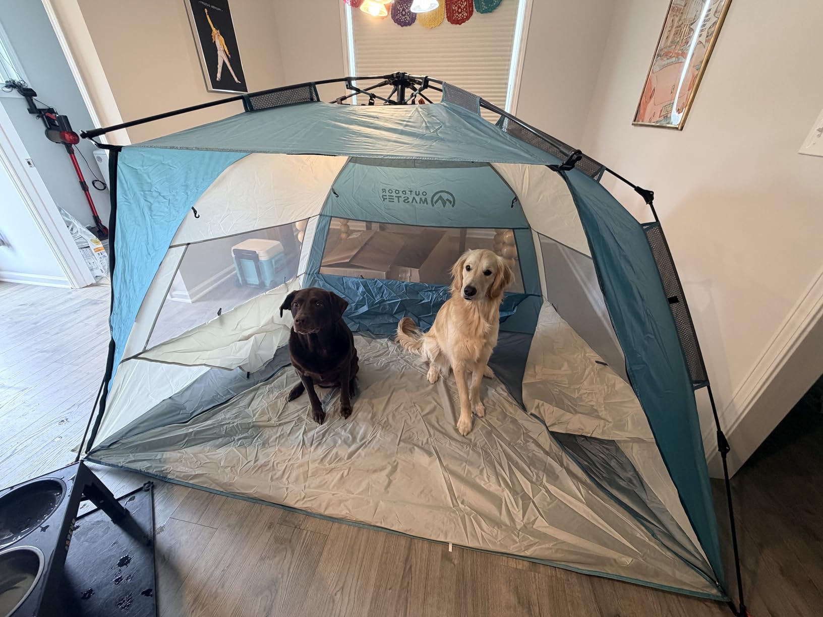 OutdoorMaster Beach Tent Sun Shelter for 3-4 Person, Pop Up Beach Tent Easy Setup with Sandbags, Portable Sun Shade Canopy with Carrying Bag, UPF50+ UV Protection, Family Size customer photo 2