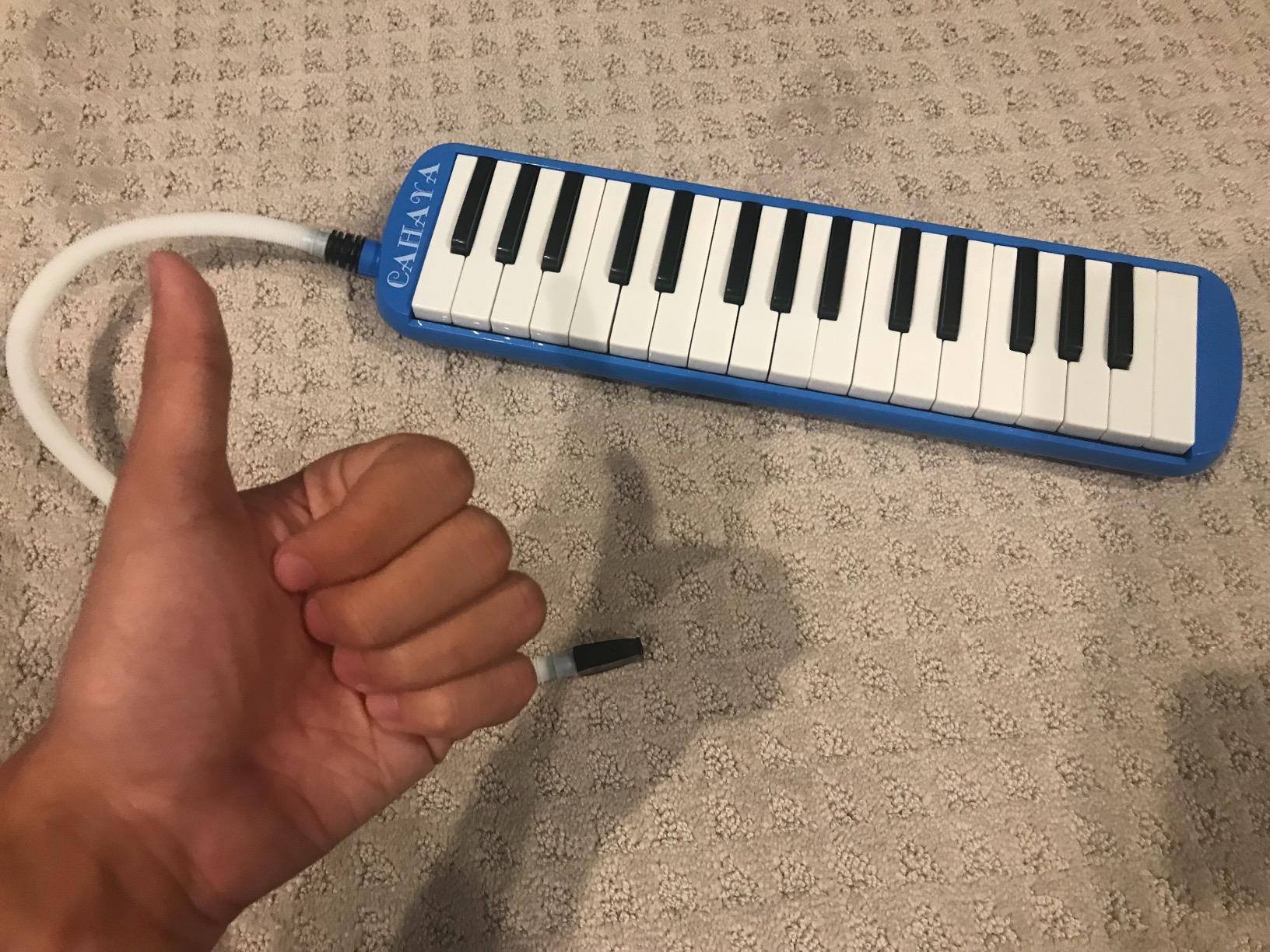 CAHAYA Melodica Piano Keyboard 32-Key with Case for Beginners Black | Portable Keyboard Instrument with 2 mouthpieces and carry bag customer photo 1