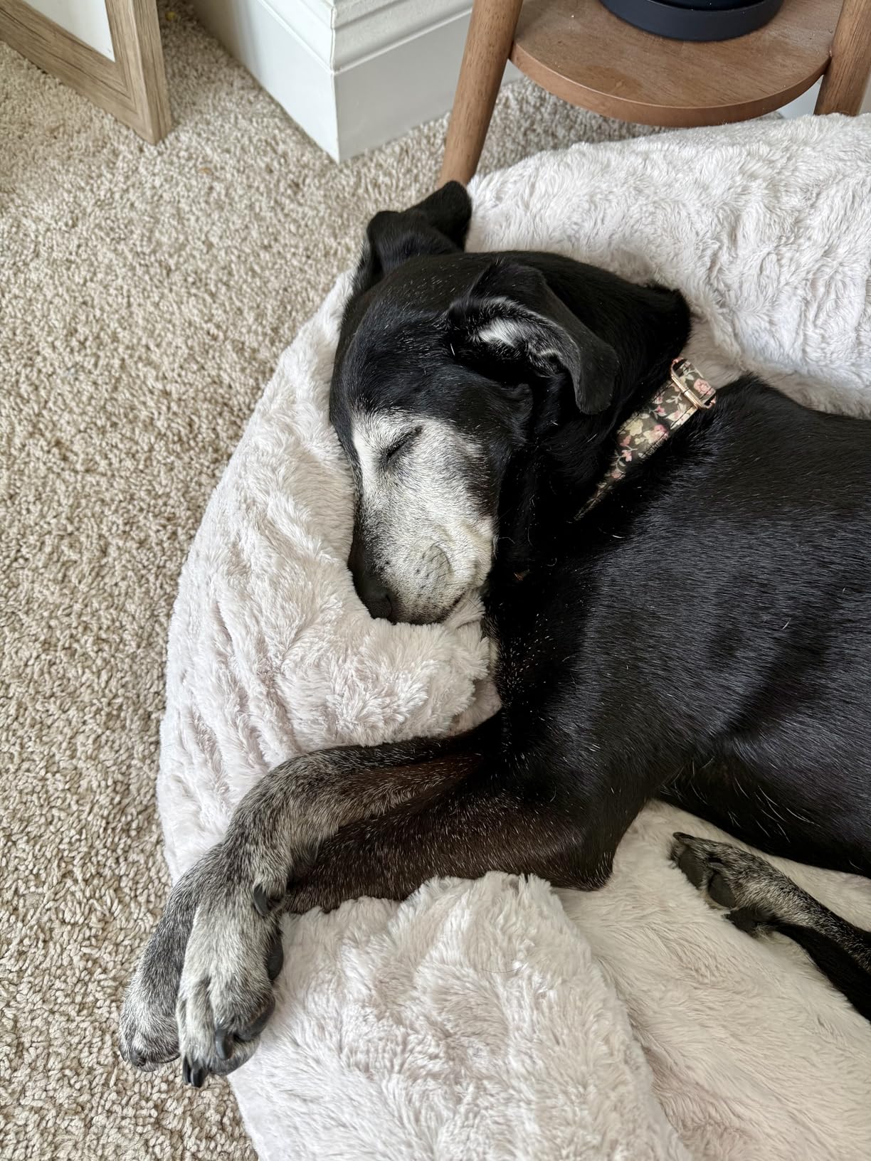 Best Friends by Sheri The Original Calming Donut Dog Bed for Large Dogs up to 100 lbs, Shag Faux Fur, Taupe, Large, 36