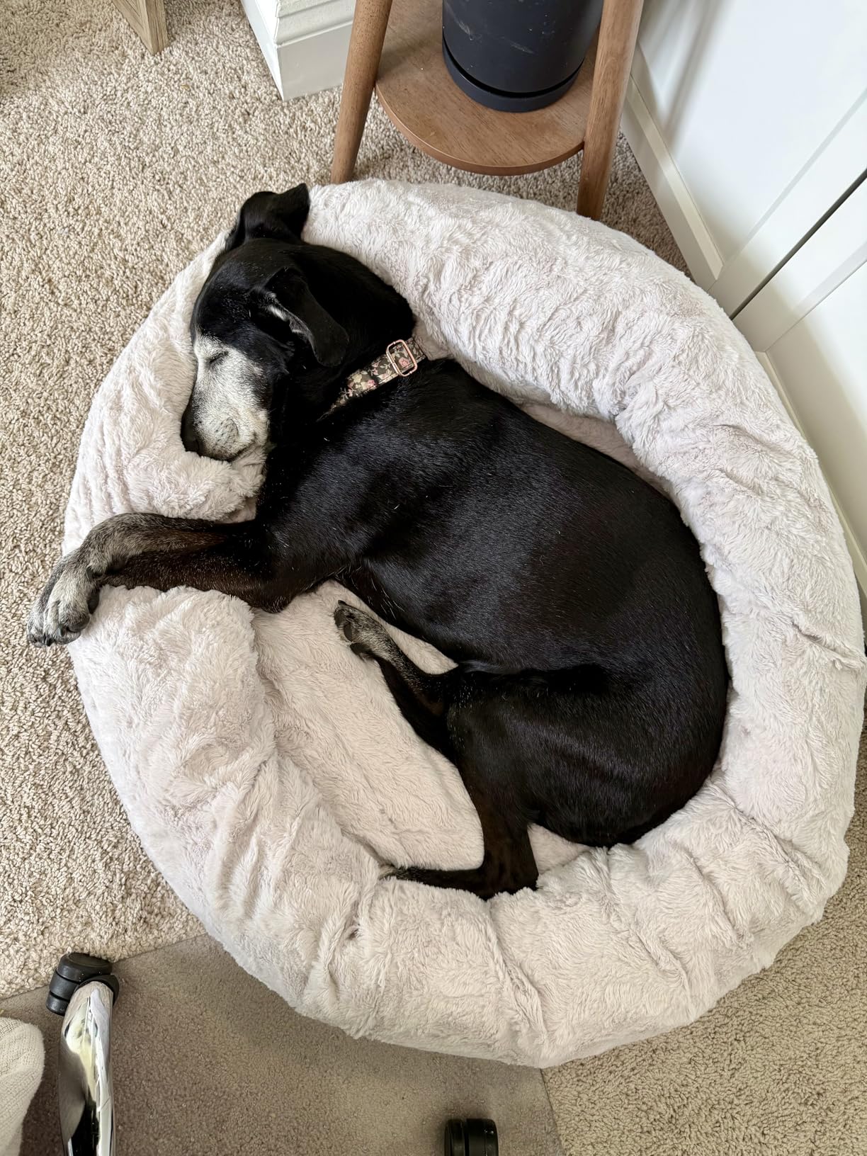 Best Friends by Sheri The Original Calming Donut Dog Bed for Large Dogs up to 100 lbs, Shag Faux Fur, Taupe, Large, 36