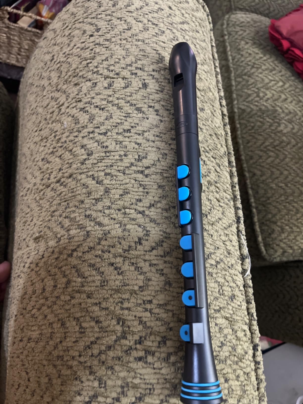 Nuvo Recorder Plus Beginner Wind Instrument, Silicone Key System, Hard Case (Black/Blue) customer photo 1
