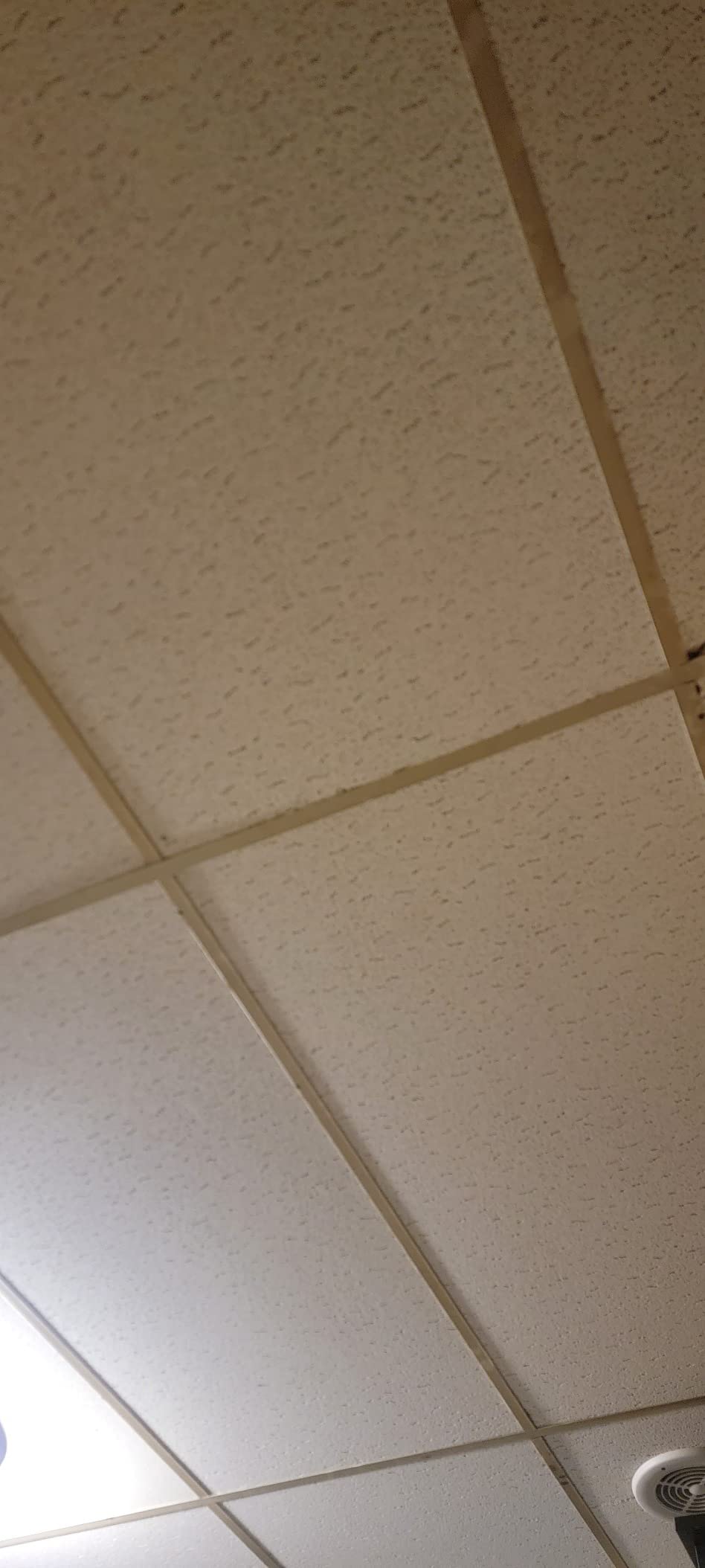 Armstrong Ceiling Tiles; 2x2 Ceiling Tiles - 16 pcs White; Acoustic Ceilings for Suspended Ceiling Grid; FISSURED 756 customer photo 1