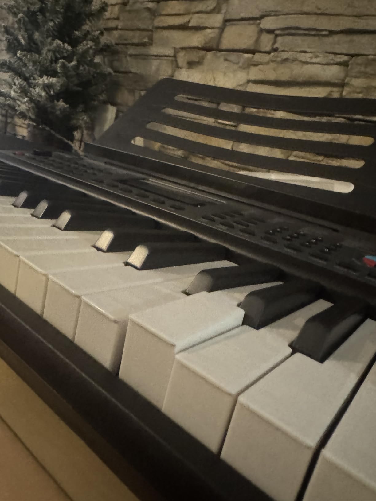 RockJam 61 Key Keyboard Piano with Pitch Bend, Power Supply, Sheet Music Stand, Piano Note Stickers & Simply Piano Lessons customer photo 1