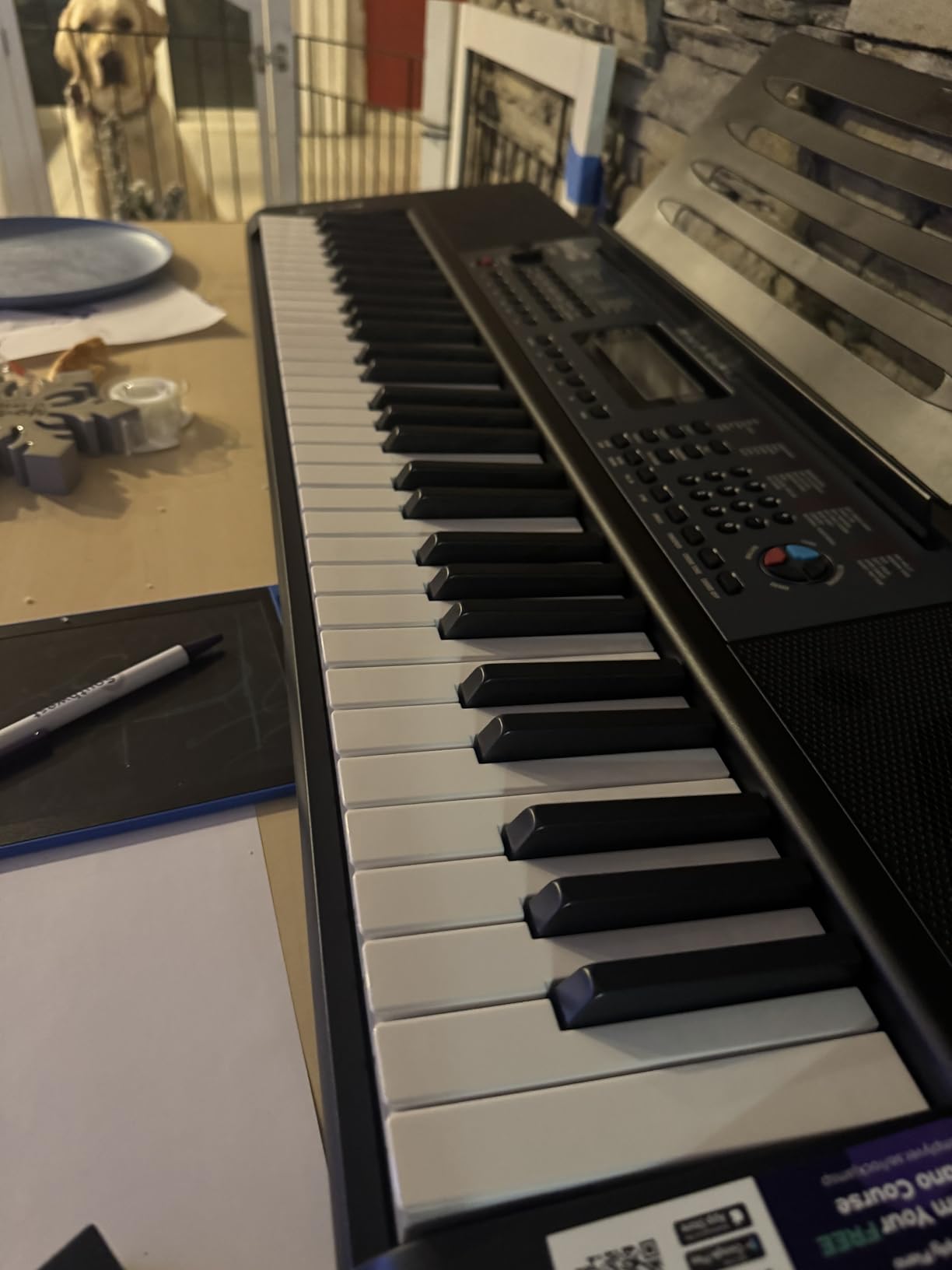 RockJam 61 Key Keyboard Piano with Pitch Bend, Power Supply, Sheet Music Stand, Piano Note Stickers & Simply Piano Lessons customer photo 2