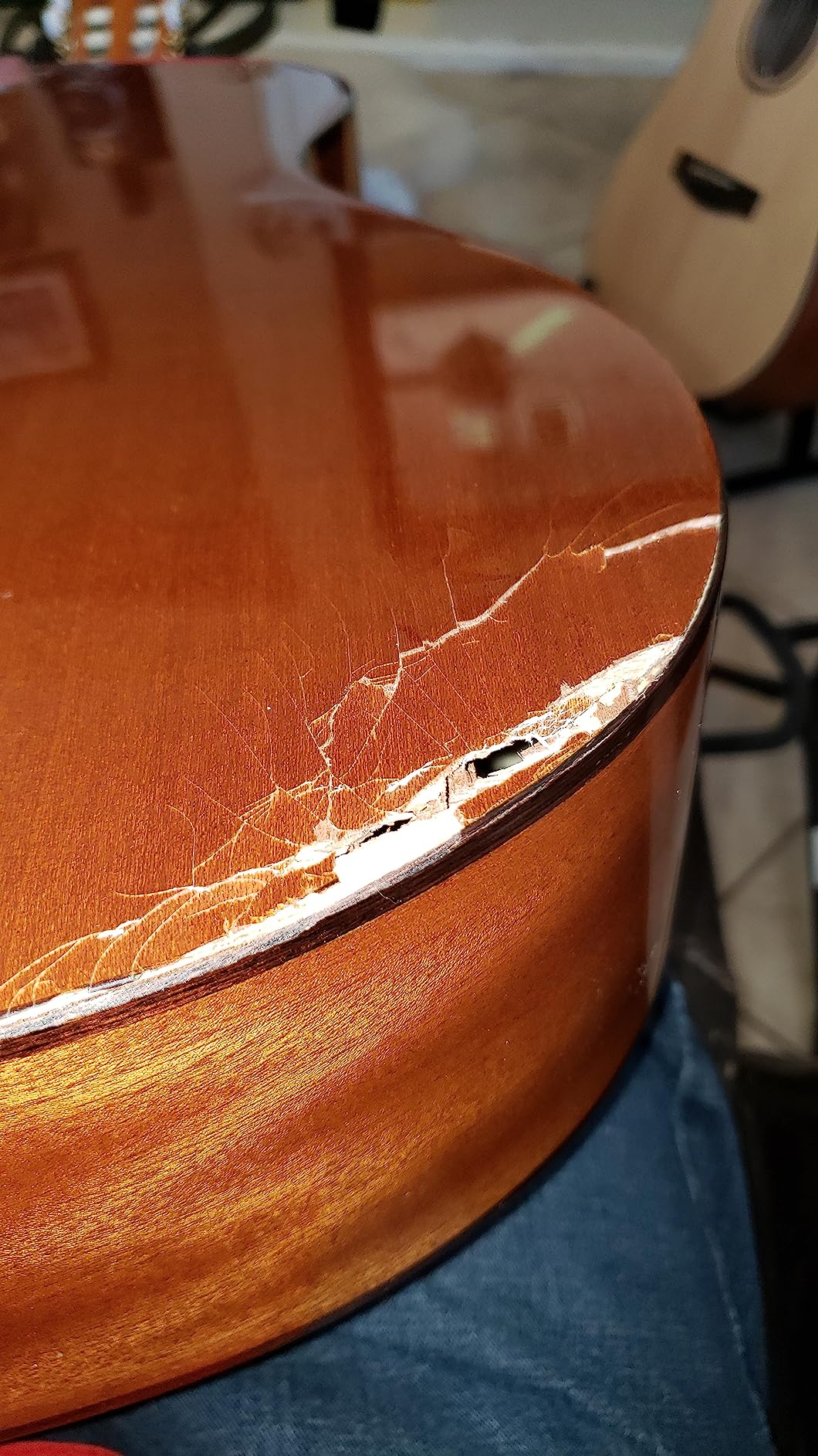 Cordoba C5 CE Spruce Top Nylon String Acoustic-Electric Guitar customer photo 2