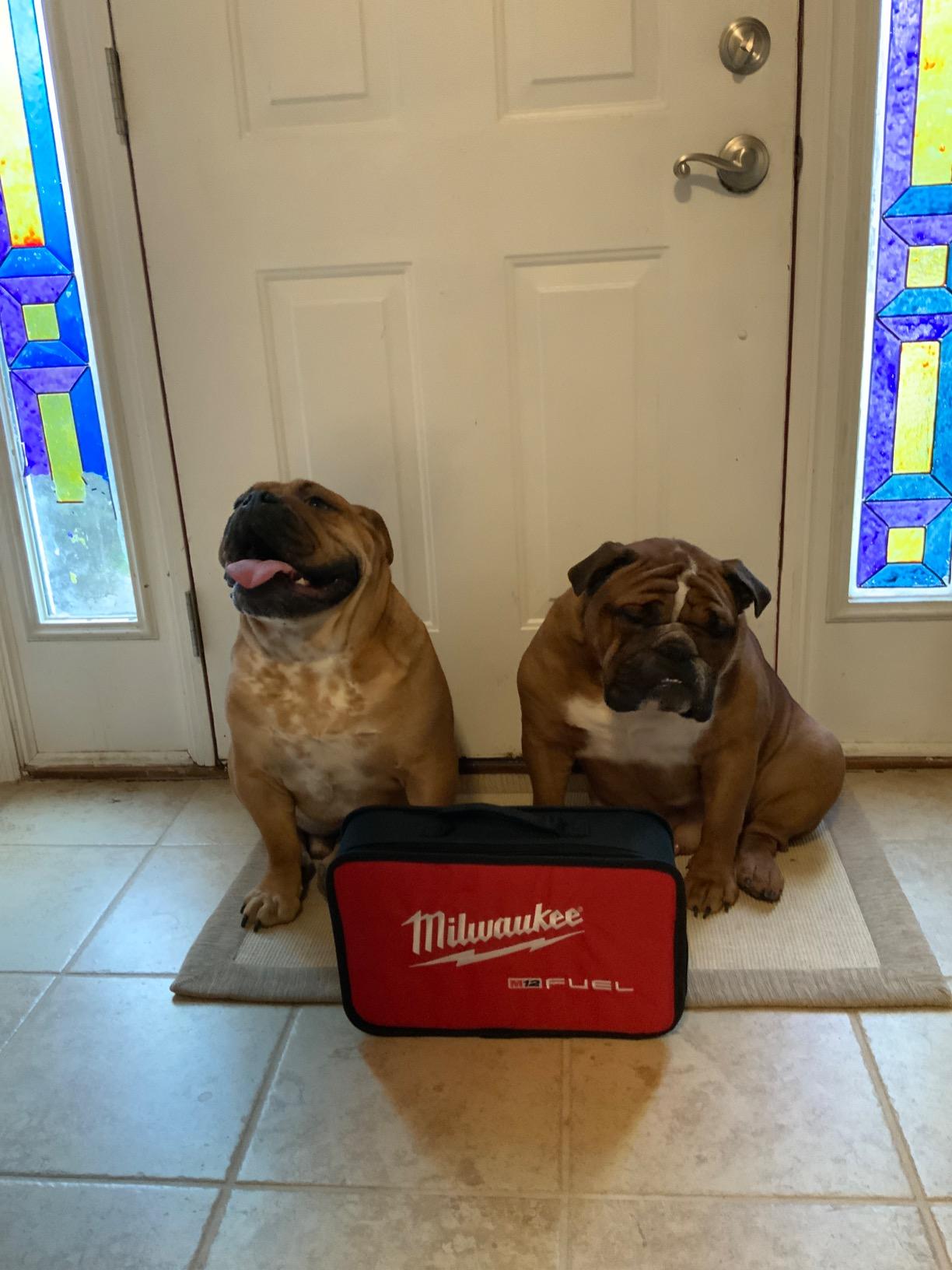 Milwaukee 2505-22 M12 FUEL Installation Drill/Driver Kit customer photo 2
