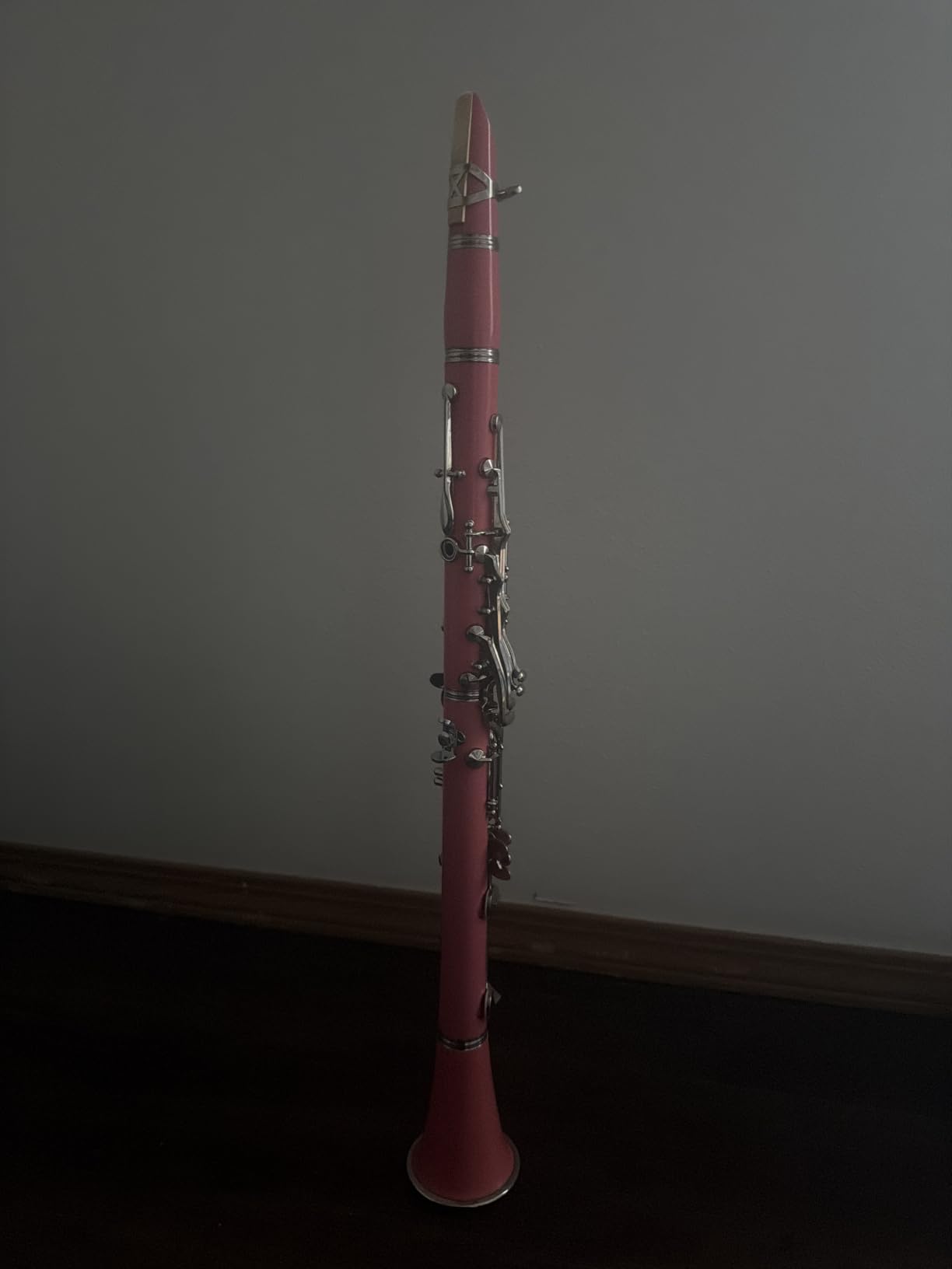 Bb Clarinet For Beginners Students B Flat Clarinet 17 Keys Clarinets with Case Stand Strap 2 Barrels 8 Mouthpiece Cushion White Gloves (Black) customer photo 1