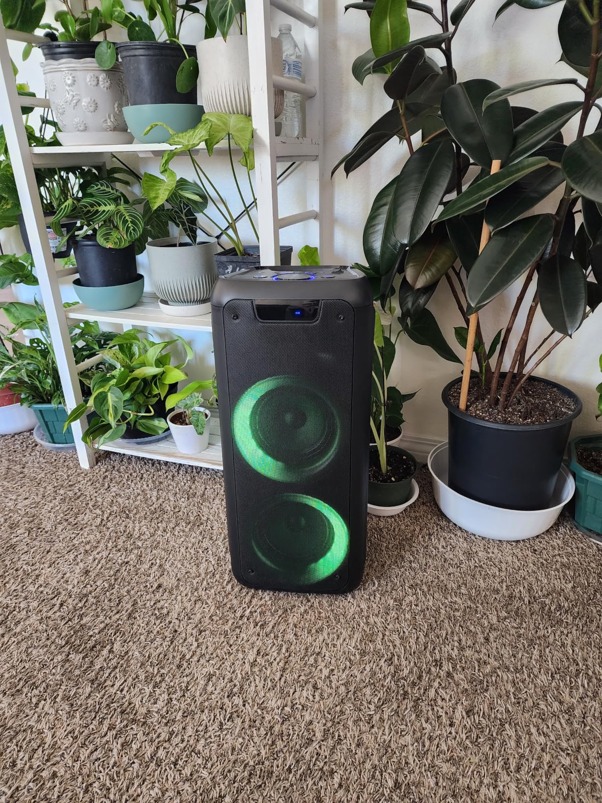 Rockville Rock Party 6 Dual 6.5