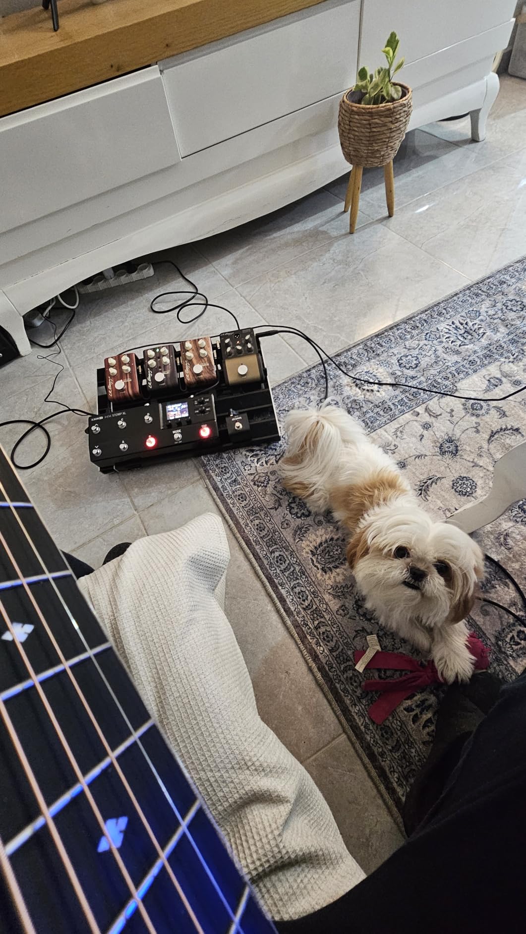 Line 6 HX Stomp XL Multi-Effects Amp Modeler Processor customer photo 1