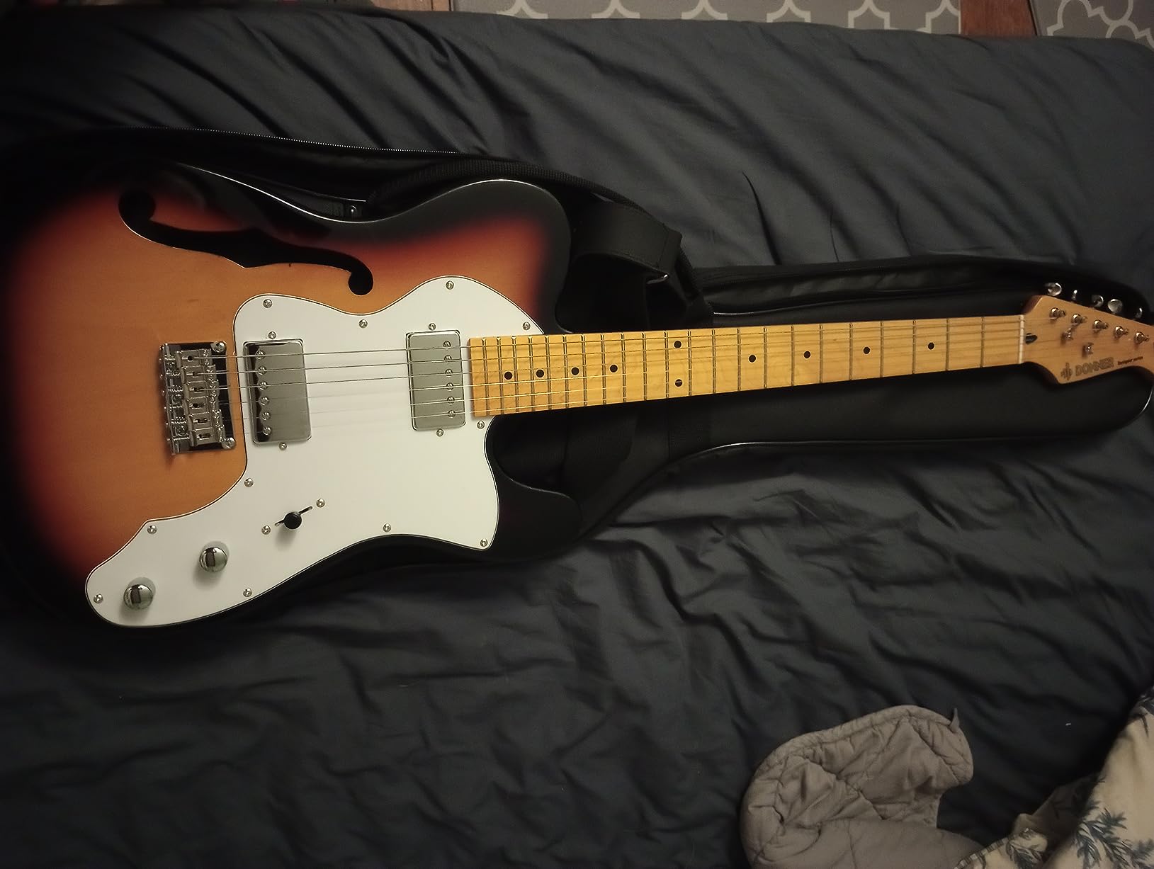 Donner 39 Inch Jazz Electric Guitar TL Thinline F Hole Beginner Full Size Hollow Guitar with H-H Pickups, Bag, Strap, Cable, Sunburst (DJC-1000S) customer photo 3