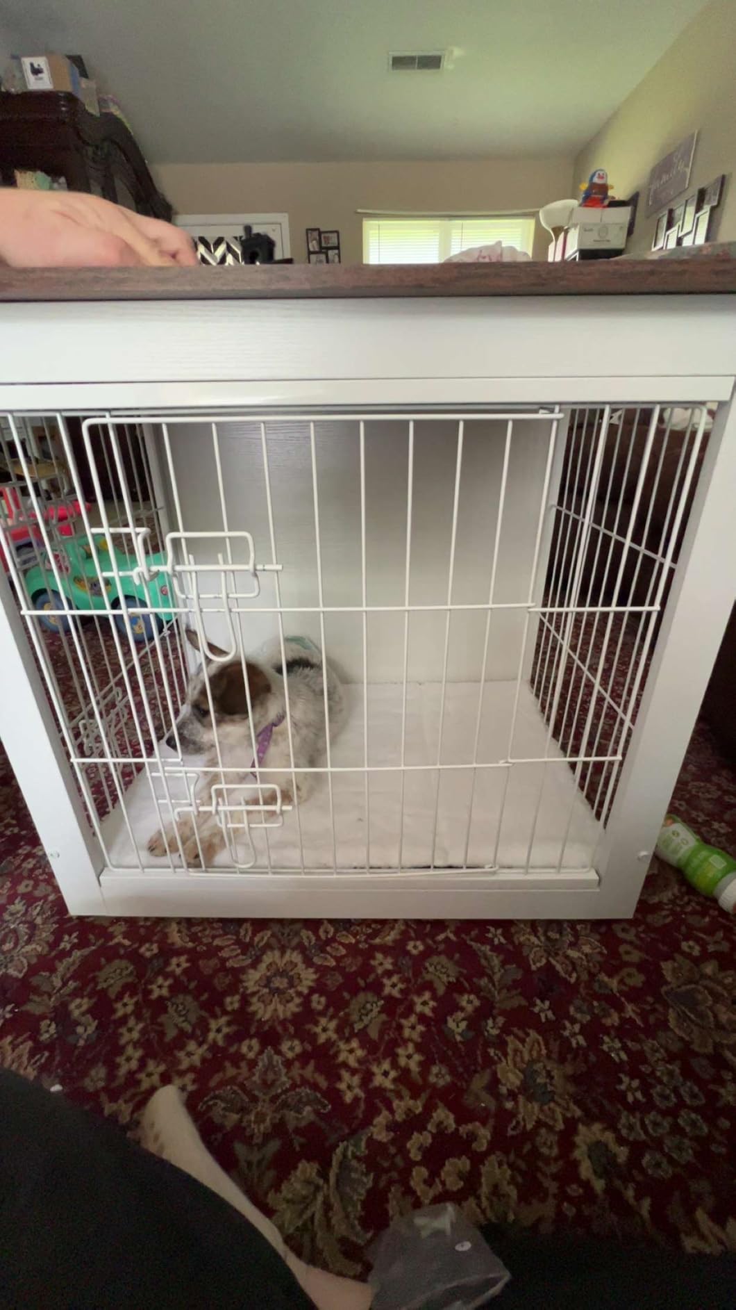 DWANTON Dog Crate Furniture with Cushion, Wooden Kennel Table with Double Doors, Indoor Dog House, Large Size, 38.5