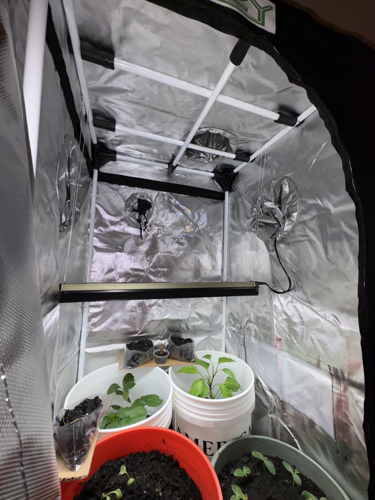 zazzy Grow Tent 32