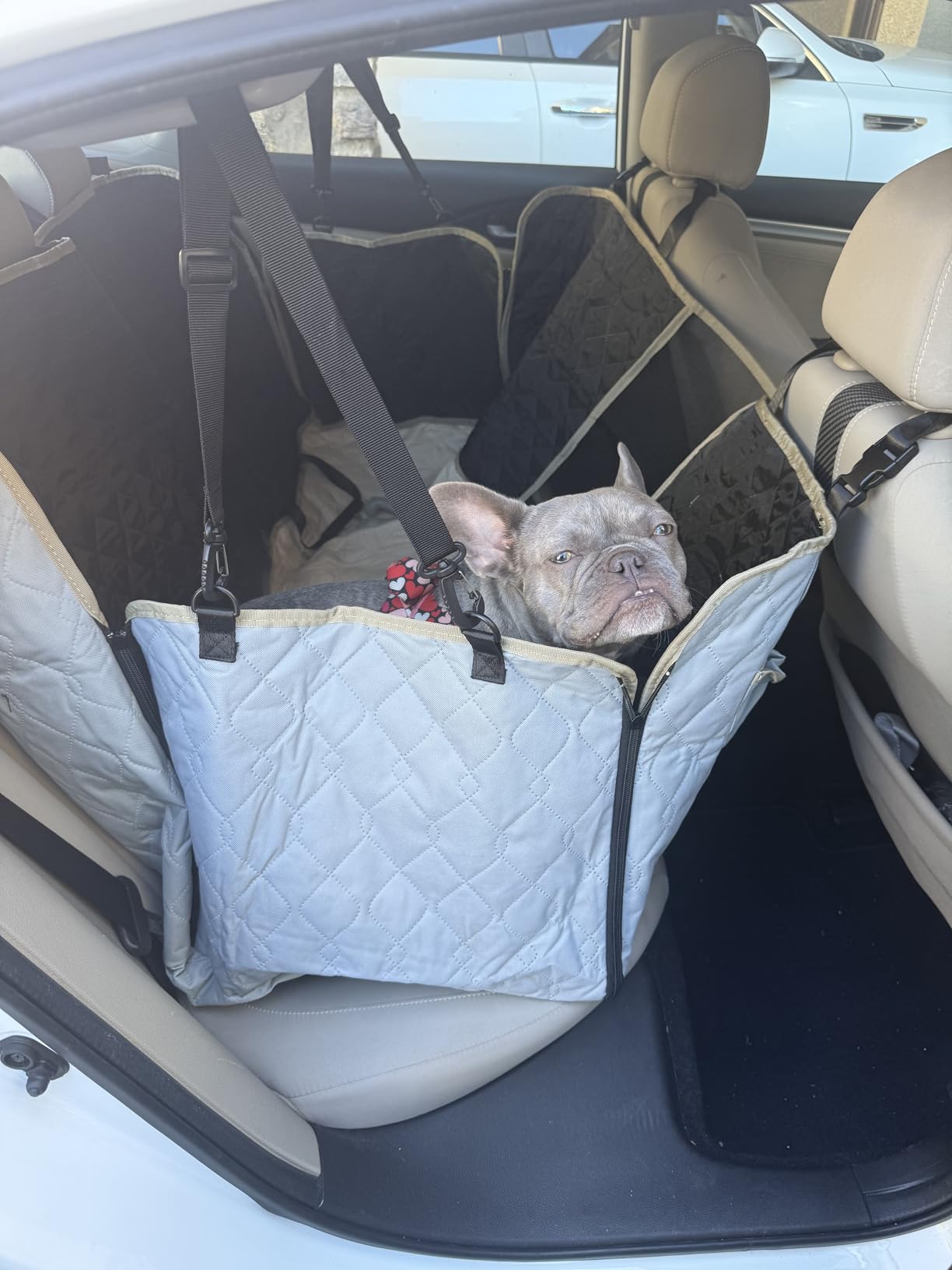 Lassie Dog Car Seat Covers for Back Seat with 2 Seat Belts, Waterproof Dog Car Hammock with Mesh Window Durable Scratch Proof Nonslip Pet Carseat Covers Universal Fit Protector for Cars, Trucks & SUVs customer photo 1
