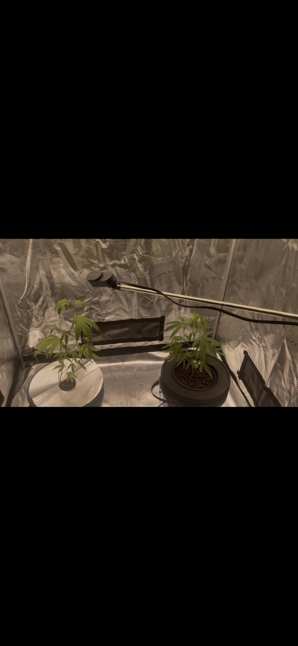 MARS HYDRO 5x2.6 Advanced Grow Tent customer photo 2