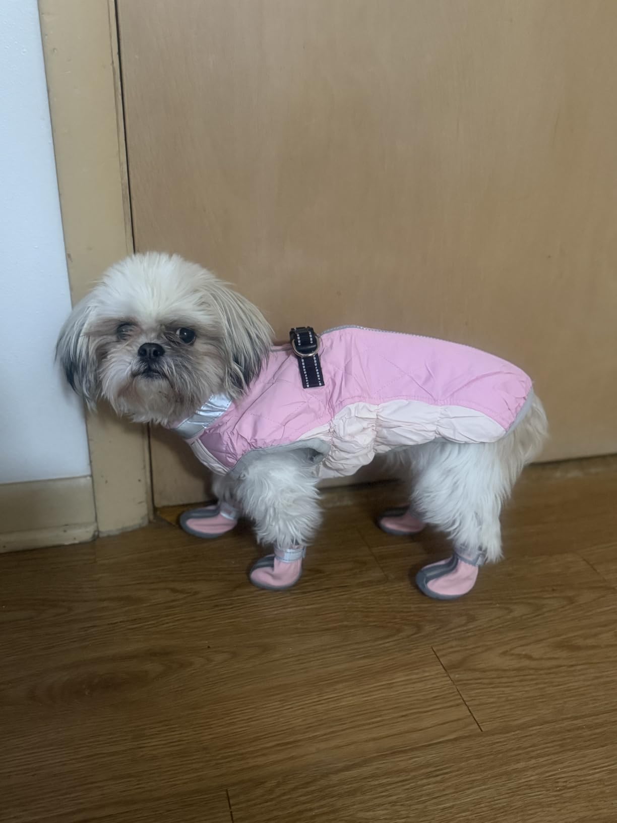 Lelepet Warm Dog Winter Coat Cold Weather Jacket Windproof Reflective Turtleneck Vest with Plush Neckline D-Ring for Leash Thick Fleece Lining Jacket Pet Apparel for Small Medium Large Dogs, XX-Large customer photo 1