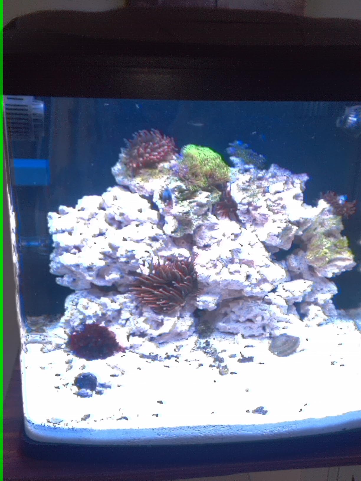 VIVOSUN Commercial Air Pump for Aquarium and Hydroponic Systems customer photo 2