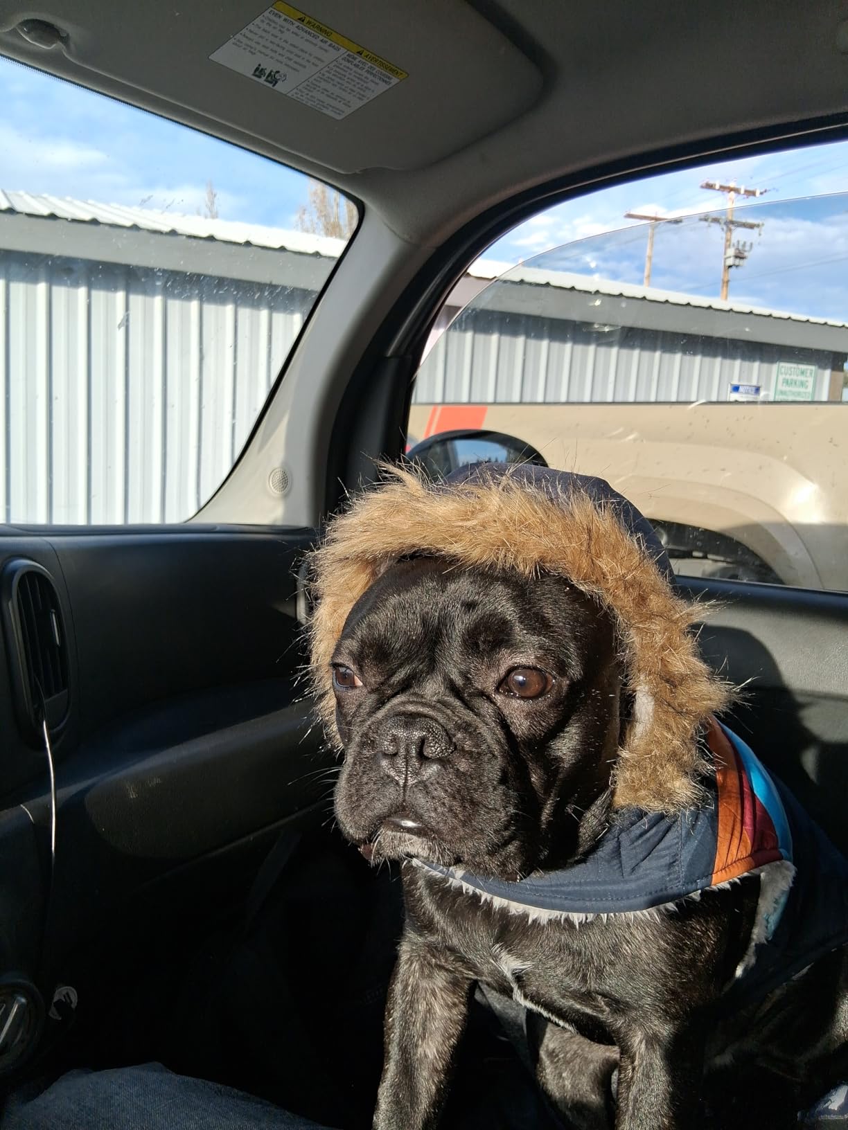 HDE Dog Puffer Jacket Fleece Lined Warm Dog Parka Winter Coat with Harness Hole Navy Retro Stripe - M customer photo 2