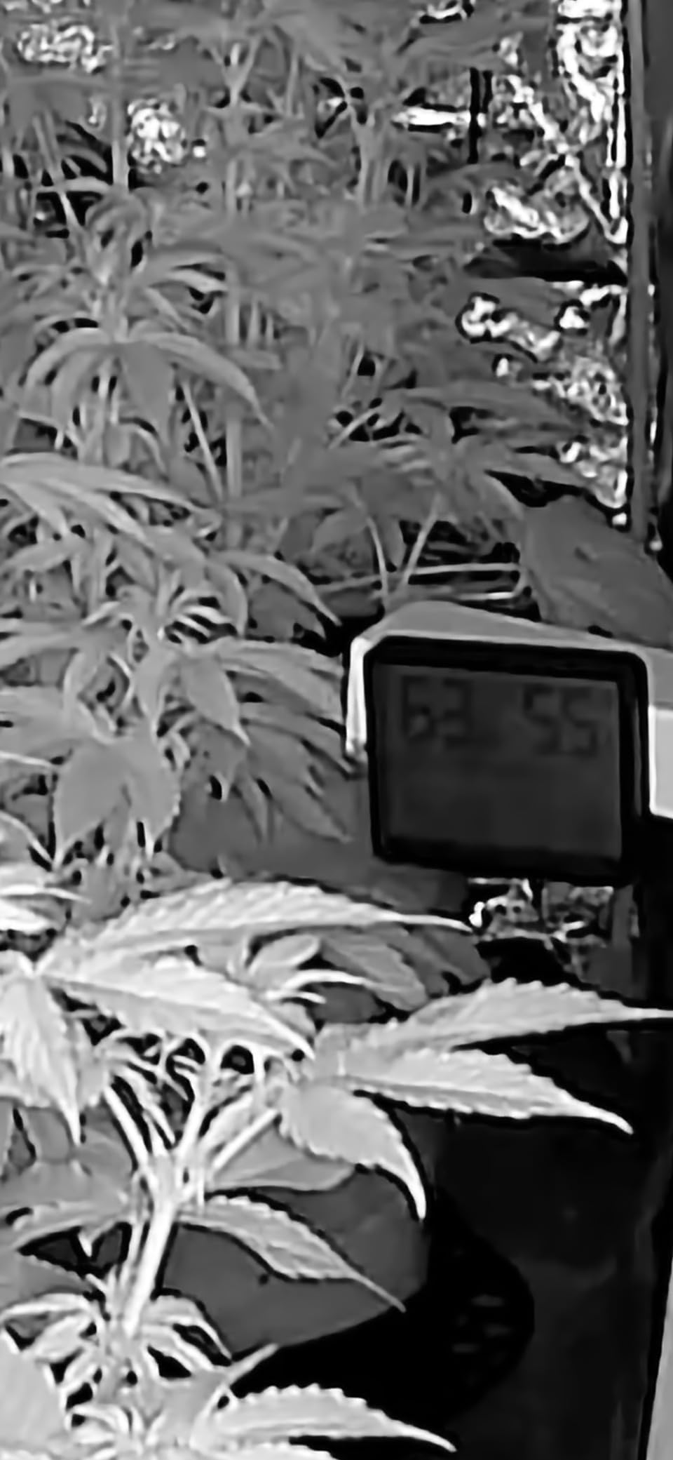 VIVOSUN GrowHub Controller E25 for Grow Tent Cooling Ventilation Lighting, Supports Smart Grow System Devices, Easy to Install & Use, WiFi App Controllable, Expansion Port for E42A+/E42A/E42 customer photo 1