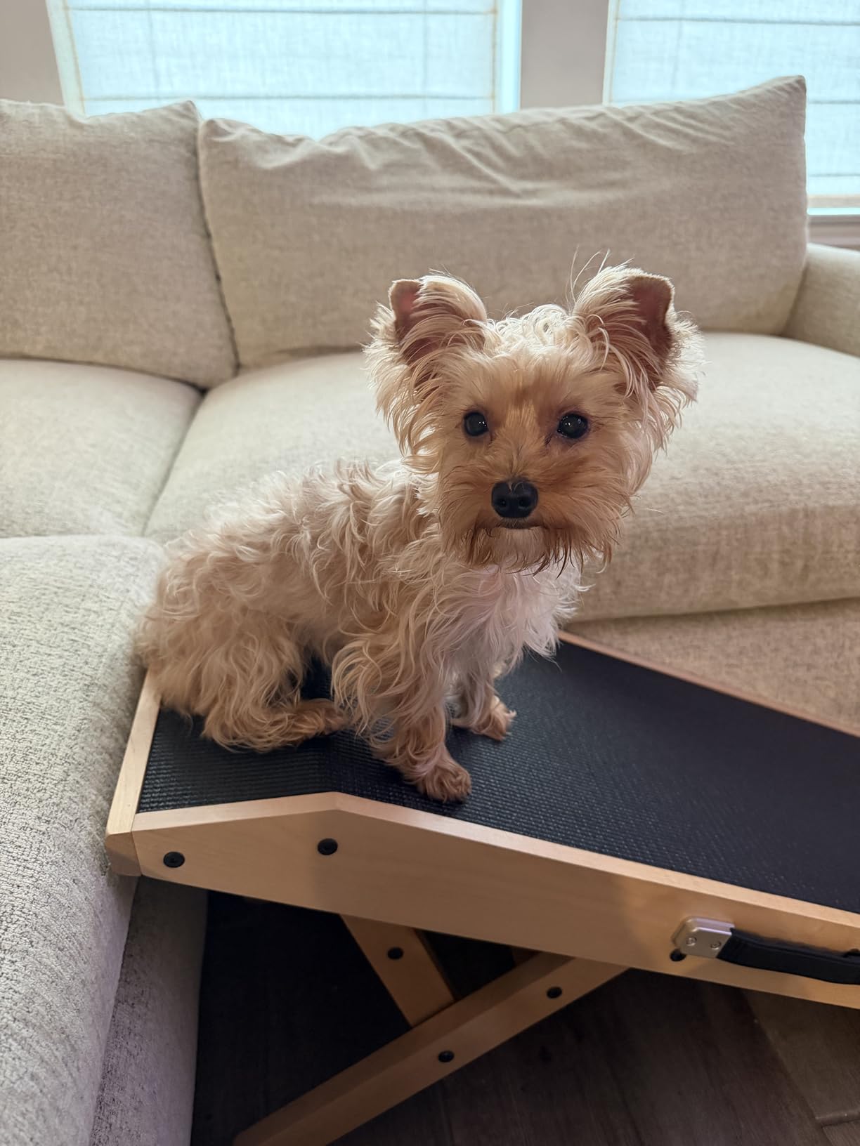 Dog Ramp for Couch - Non-Slip, Sturdy Build Foldable Wooden Dog Ramp - Supports up to 200 lbs - 7 Adjustable Heights (14