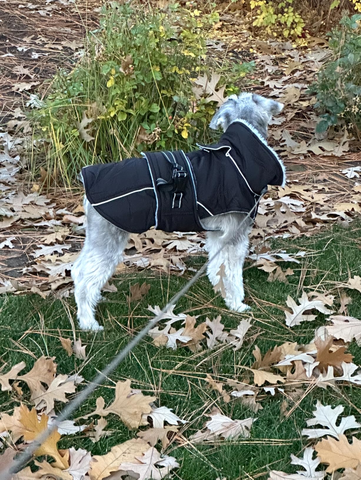 Lelepet Warm Dog Coat Reflective Fleece Vest Waterproof Dog Jacket with Adjustable Buckle Hook & Loop Windproof Cold Weather Coats for Small Medium Large Dogs, Army Green, M customer photo 2