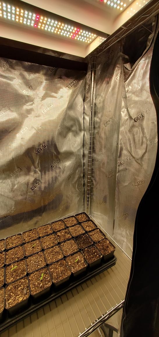 Gorilla Grow Tent 2x2.5 Fixed Height customer photo 1
