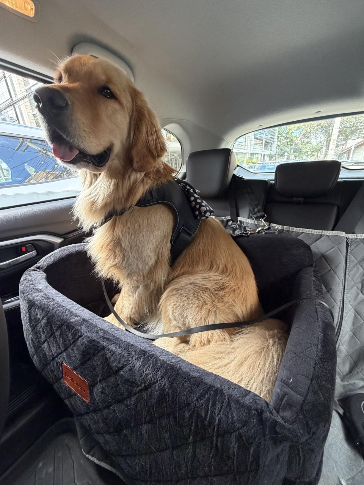 Lealchum Dog Car Seat for Large Size Dog, Soft Fabric Car Dog Bed Filling Memory Foam, 2 Clip-On Safety Leashes and 2 Pockets, Removable and Washable Comfy Pet Car Seat (Black/Brown, Large) customer photo 1