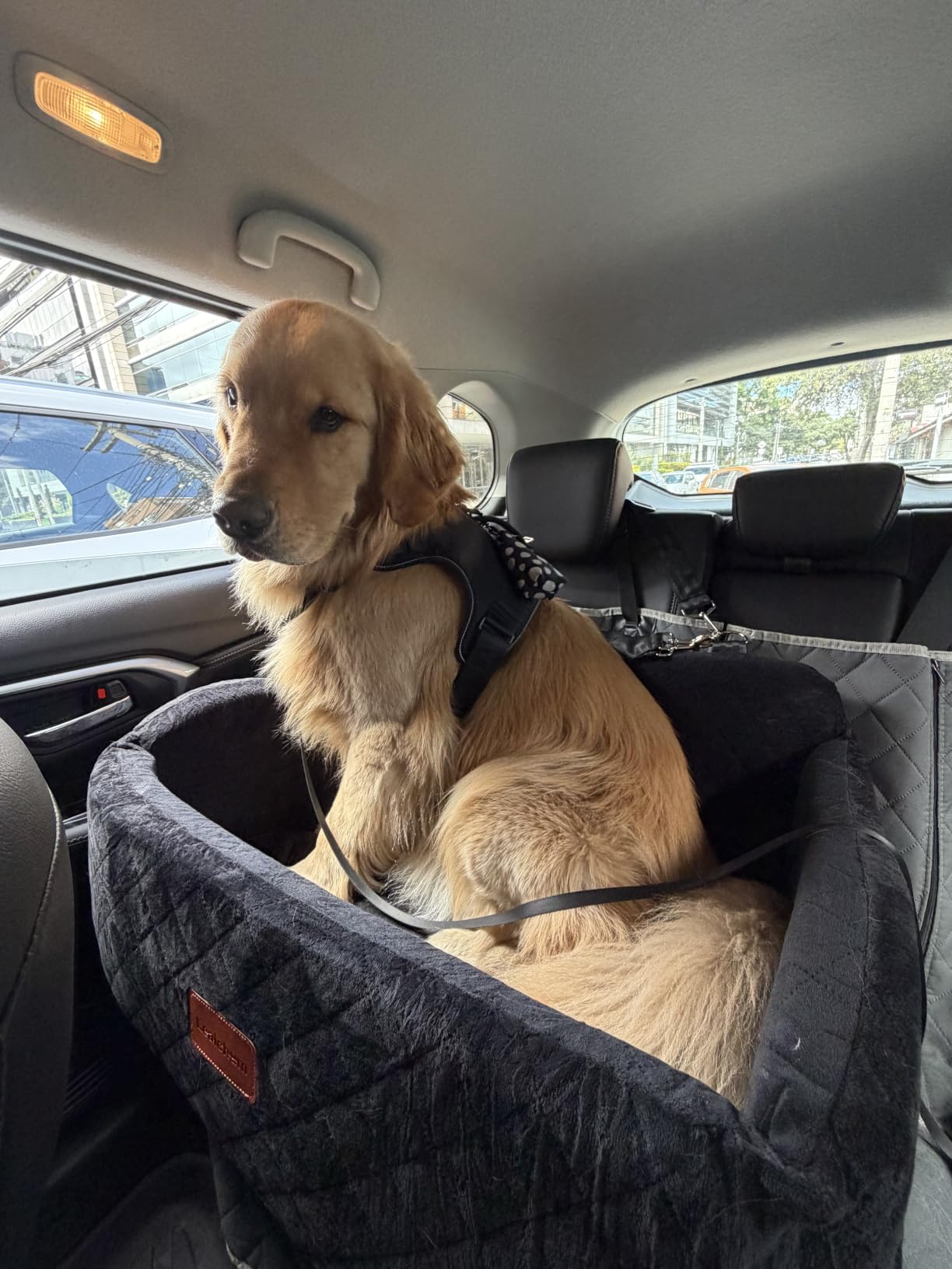 Lealchum Dog Car Seat for Large Size Dog, Soft Fabric Car Dog Bed Filling Memory Foam, 2 Clip-On Safety Leashes and 2 Pockets, Removable and Washable Comfy Pet Car Seat (Black/Brown, Large) customer photo 2