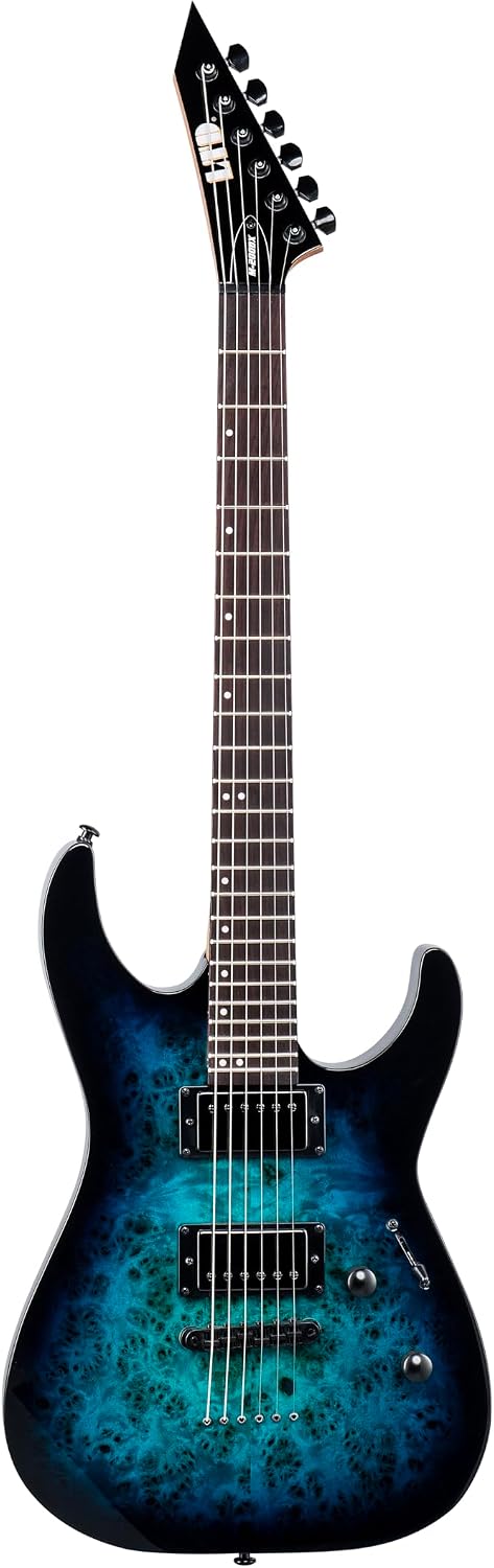 ESP LTD M-200DX Electric Guitar - Blue Burst customer photo 1