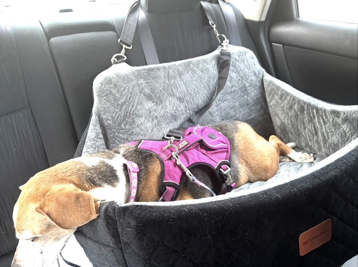 Wooaidagg Dog Car Seat for Medium & Large Dogs Up to 55lbs, Memory Foam Cushion, Washable Cover, Safety Straps & Non-Slip Bottom (Black, Large) customer photo 2