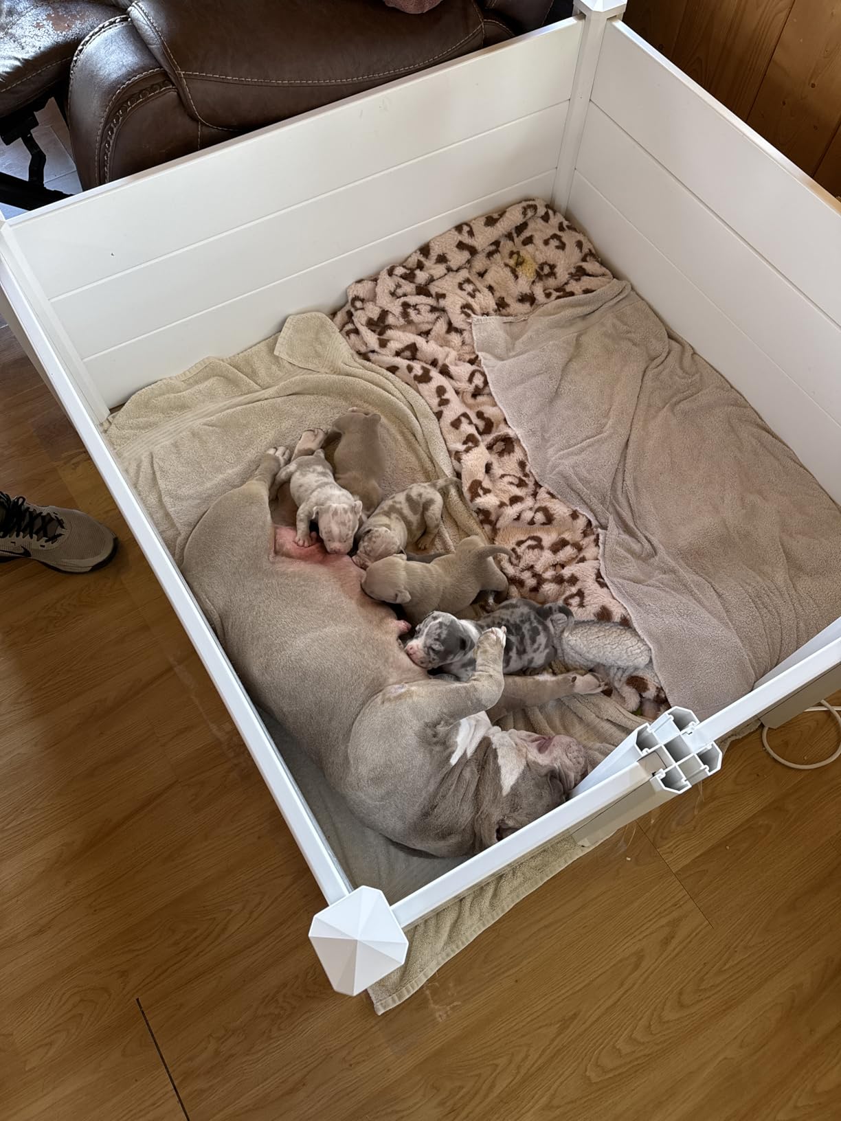 Whelping Box for Large Breed Dogs, PVC Puppy Playpen, Waterproof & Rustproof Whelping Pen, 48x48x18 in, White customer photo 2