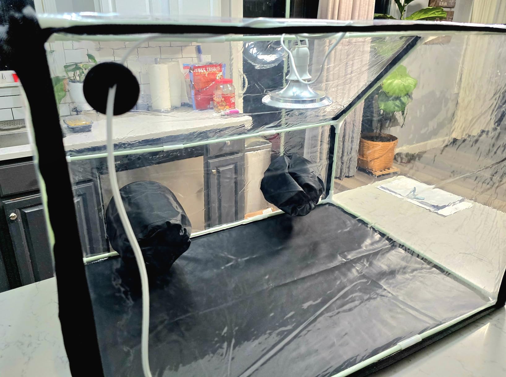 Meonum Mushroom Grow Tent and LED Growing Light Kit, 30 x 20 x 20 Inch Portable Large Still Air Box, Mycology Mushroom Growing Kit, Indoor Propagation Stations with 48 LED Mushroom Grow Lamp customer photo 2