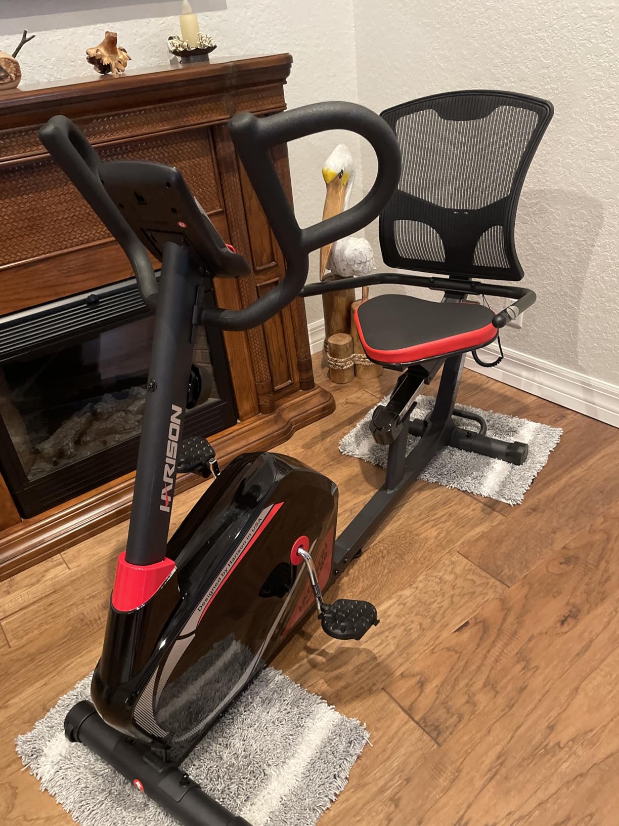HARISON Pro Recumbent Exercise bike with Arm Exerciser for Adult and Seniors, Low-Impact Recumbent Stationary Bike for Knee-Friendly 400LBS Capacity, Light Commercial Recumbent Bike, Quiet Magnetic Resistance, Adjustable Comfort Seat, Home Fitness Equipment customer photo 1