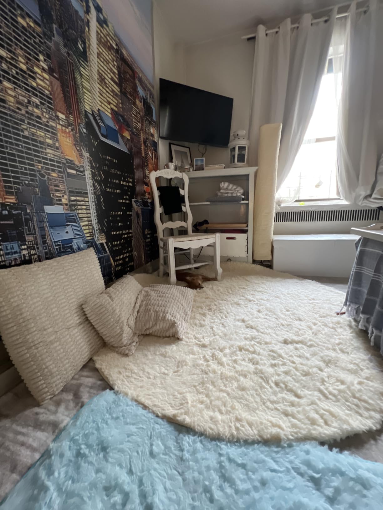 Amazon Basics Fluffy Washable Area Rug, Shaggy Carpet for Living Room, Bedroom, 6' W x 9' L, Dark Gray customer photo 1
