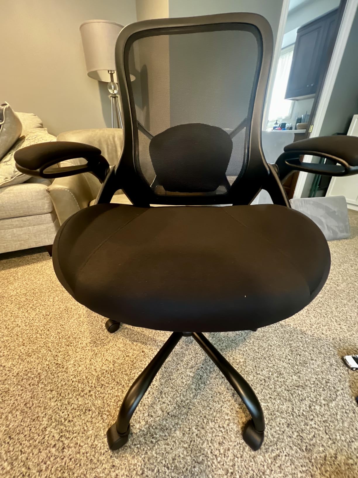 HYLONE Big and Tall 400lbs Heavy Duty Office Chair, 5 Inch Thickened Seat Ergonomic Desk Chair with Adjustable Armrests, Home Office Computer Chairs for Long Hours Mesh Executive Chair (Black) customer photo 1