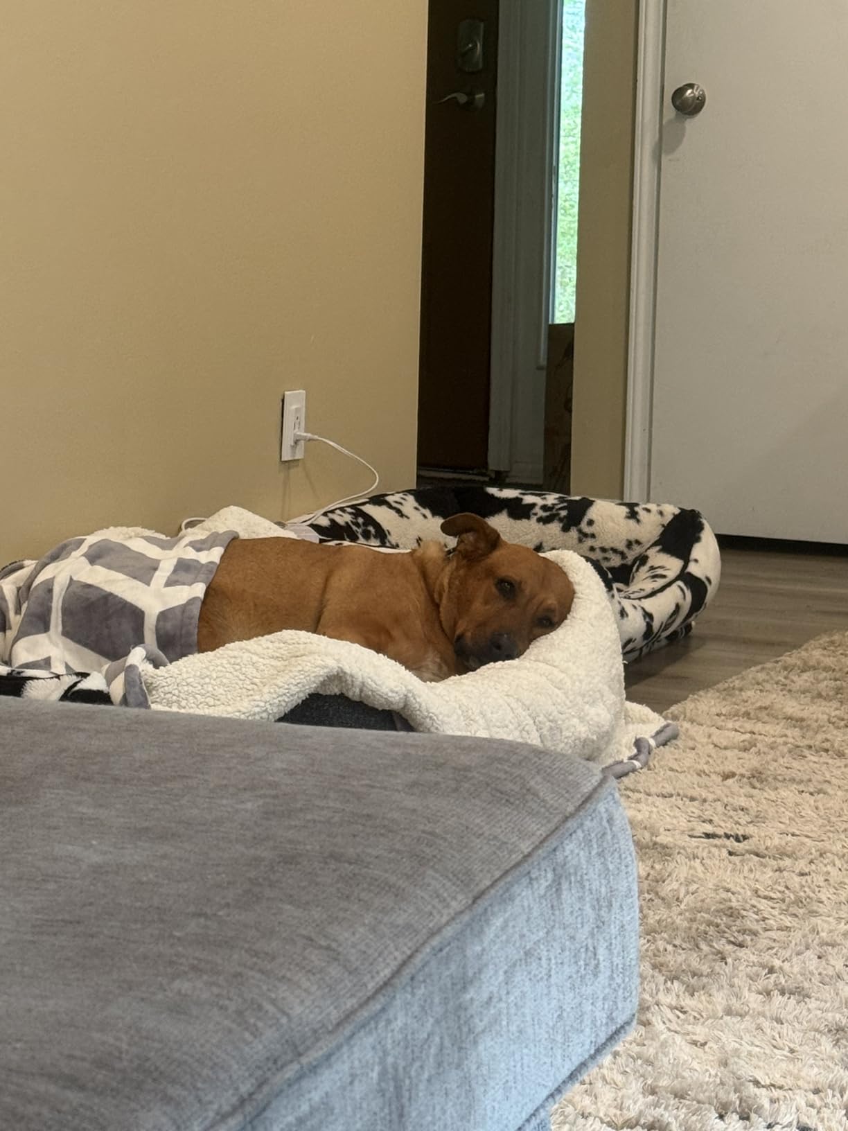 VENTIMI Electric Blanket Twin, 62