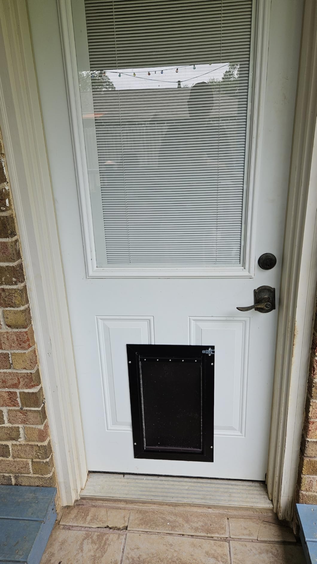 All Aluminum XL Dog Door for Exterior Door, Extra Large Dog Door, Heavy Duty Pet Door, Double Magnetic Flaps, Thermal Insulation, Energy Efficient, Sliding Lock Panel (Pets Up to 220Lb) customer photo 1