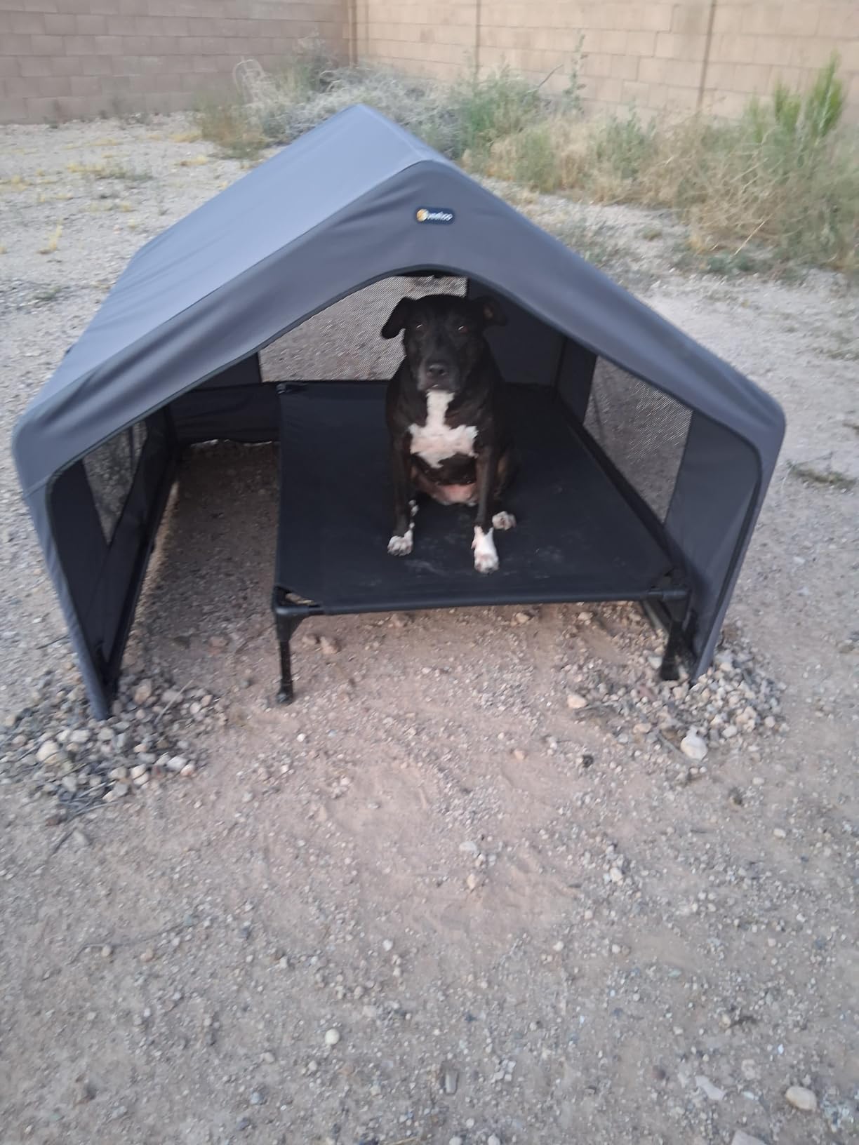 Veehoo Extra Large Dog House Outdoor with Elevated Dog Bed, Outside Dog Tent 4.1' x 4.1' x 3.3', Weatherproof Dog Shade Shelter and Raised Bed Combo for Pets or Stray Animals, Grey customer photo 2