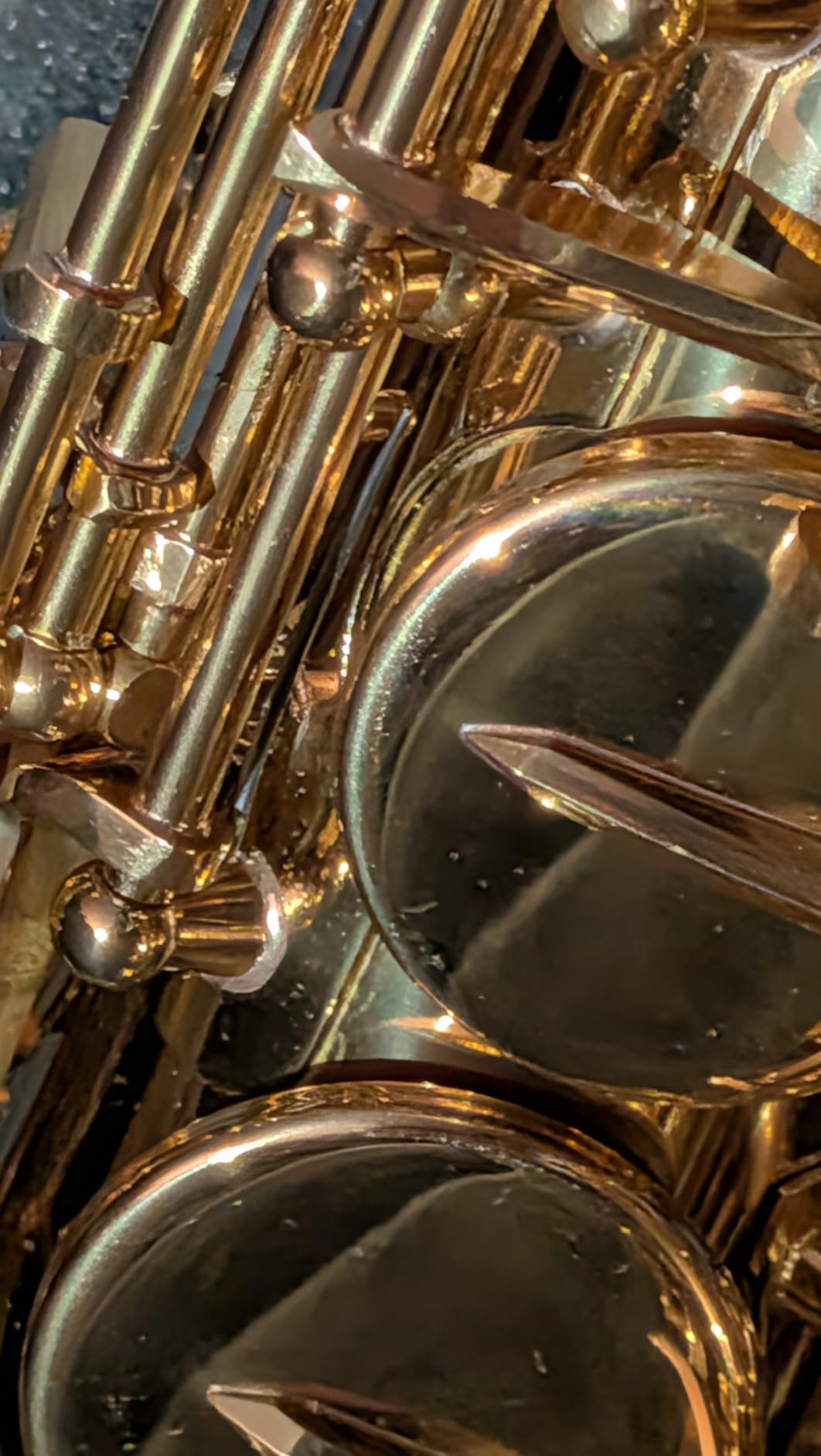 STRICH Bb Tenor Saxophone for Student Beginner, Brass Tenor Sax Kit with Hard Case Stand Neck Strap Mouthpiece and Reeds for Band School, STS-130G, Gold customer photo 1