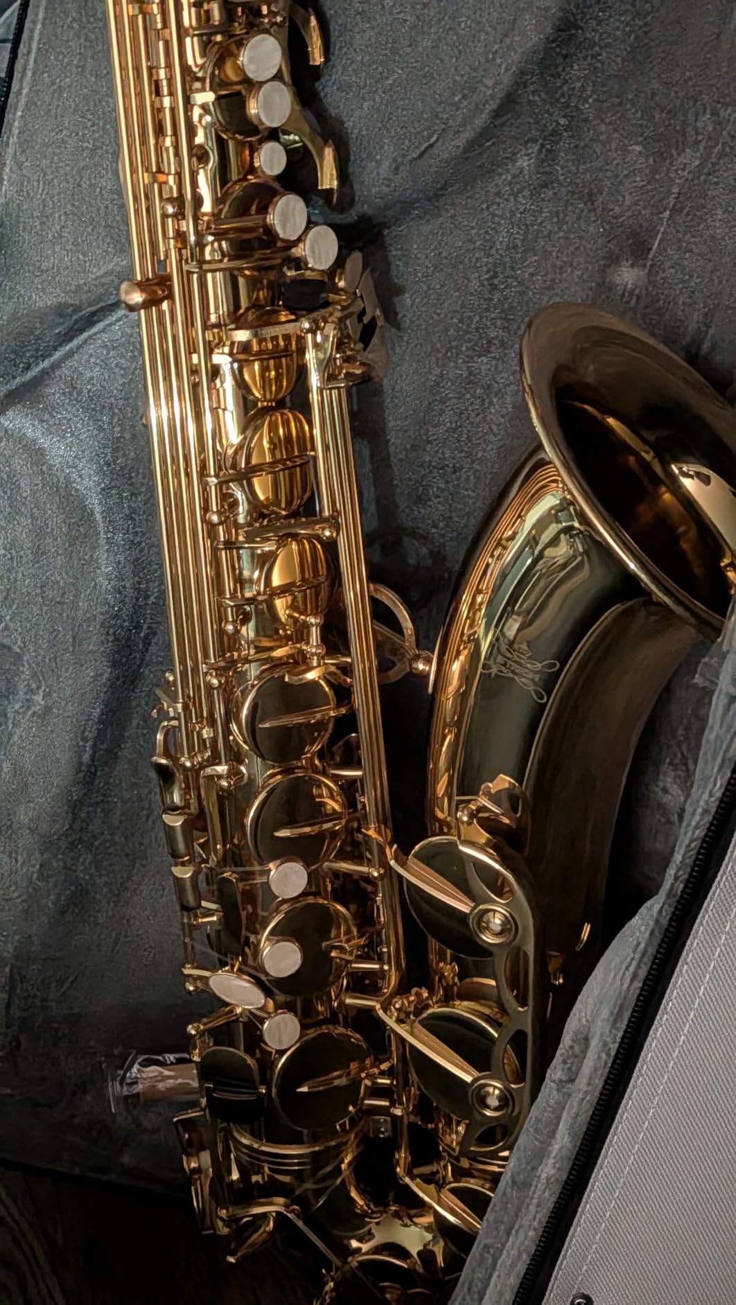 STRICH Bb Tenor Saxophone for Student Beginner, Brass Tenor Sax Kit with Hard Case Stand Neck Strap Mouthpiece and Reeds for Band School, STS-130G, Gold customer photo 2