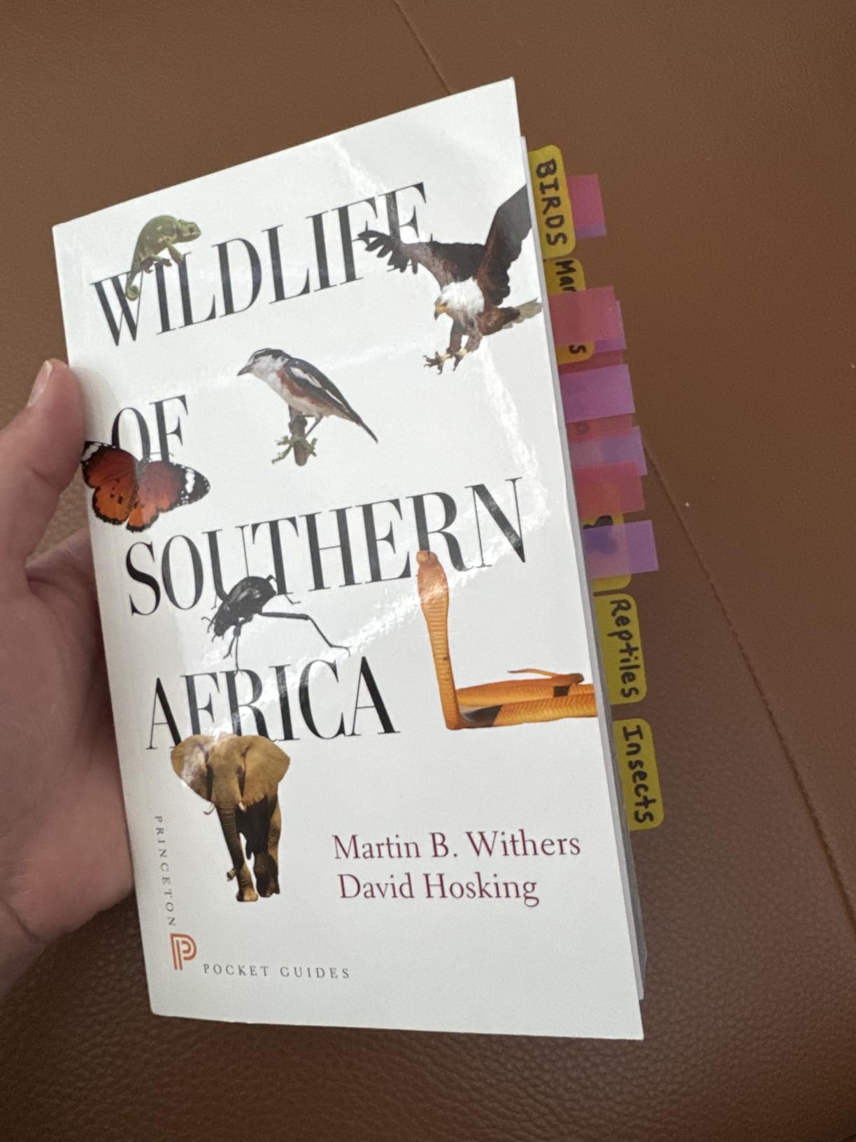 Wildlife of Southern Africa (Princeton Pocket Guides) customer photo 1