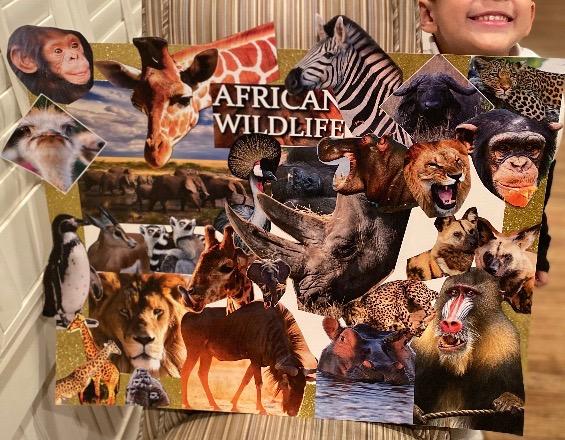 African Wildlife Photography Book - African Wildlife: 100+ Amazing Pictures customer photo 1