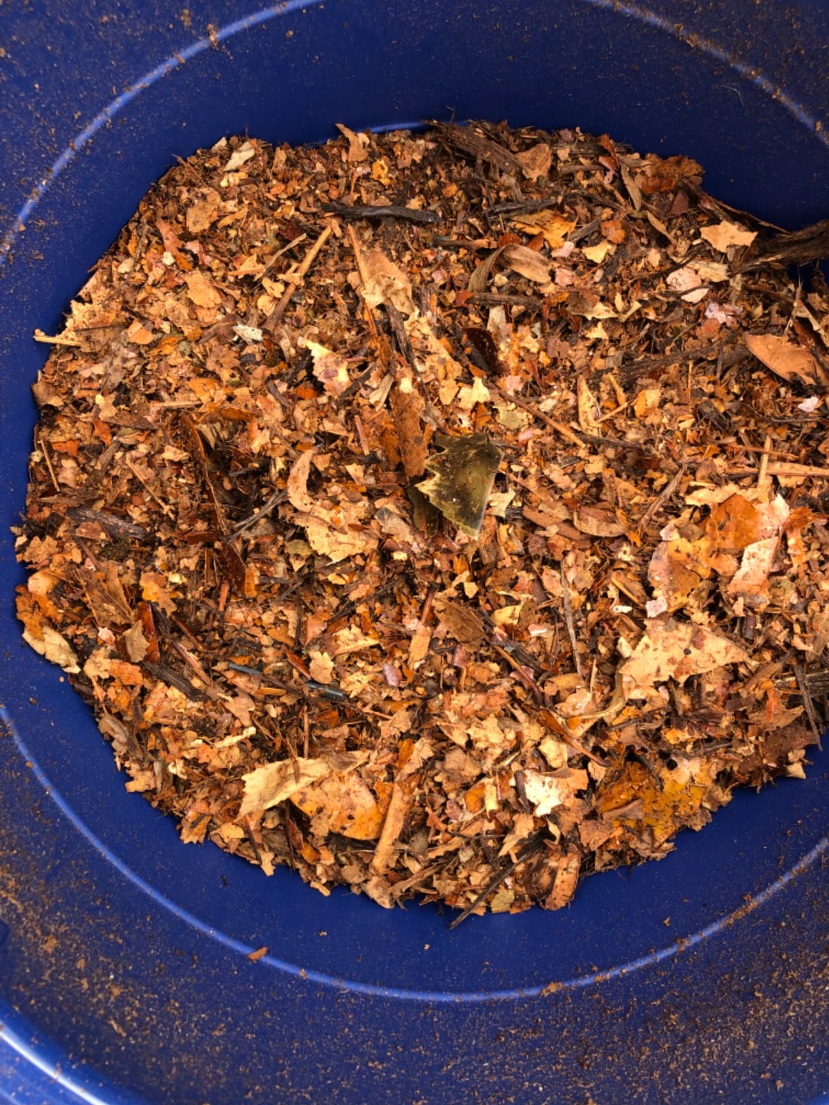 Flowtron Electric Leaf Mulcher and Shredder, 30:1 Ratio, 21 in Funnel customer photo 1