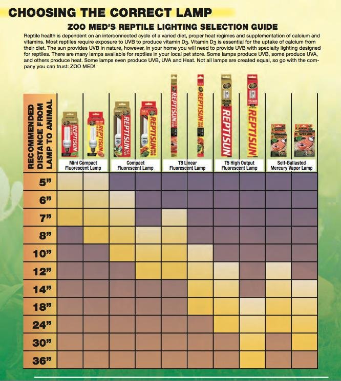 Zoo Med PowerSun UV Bulb 160 Watt - Self-Ballasted Mercury Vapor UVB Lamp customer photo 1